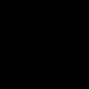 Meet your Posher, Vero